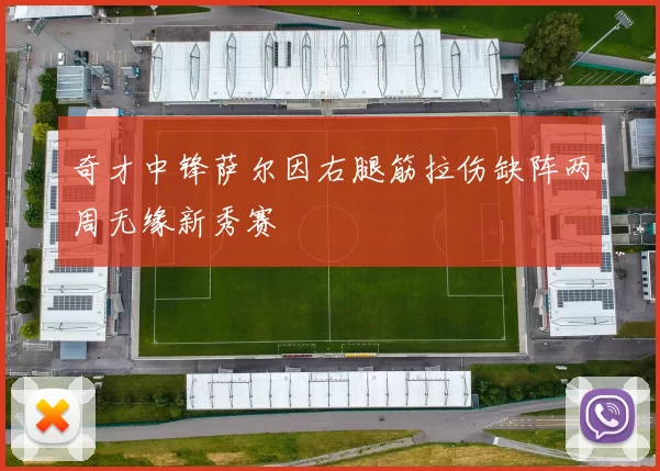 奇才中锋萨尔因右腿筋拉伤缺阵两周无缘新秀赛