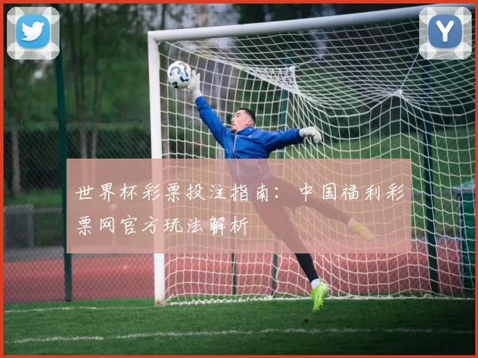 世界杯彩票投注指南:中国福利彩票网官方玩法解析