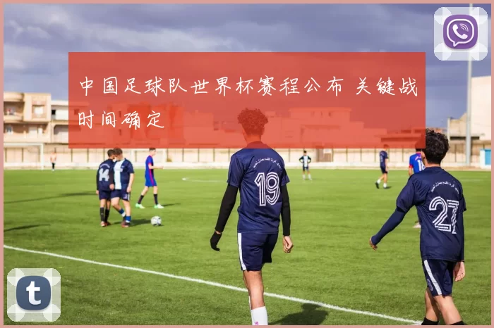 中国足球队世界杯赛程公布 关键战时间确定