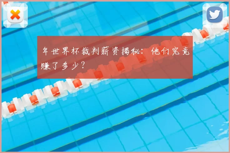 年世界杯裁判薪资揭秘:他们究竟赚了多少?
