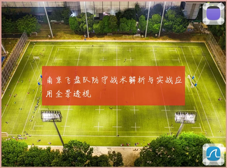 南京飞盘队防守战术解析与实战应用全景透视