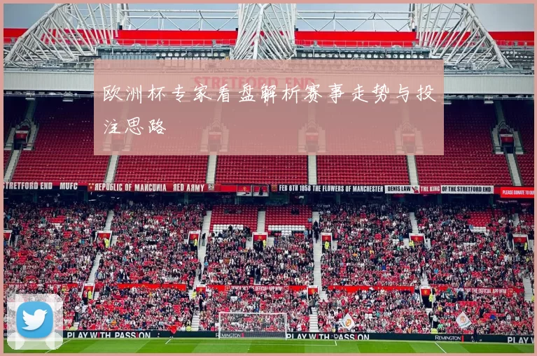欧洲杯专家看盘解析赛事走势与投注思路