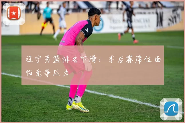 辽宁男篮排名下滑,季后赛席位面临竞争压力