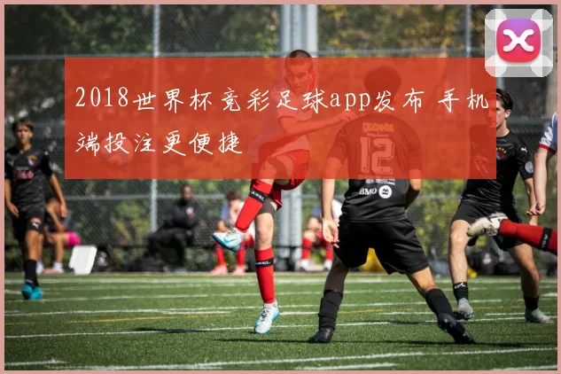 2018世界杯竞彩足球app发布 手机端投注更便捷