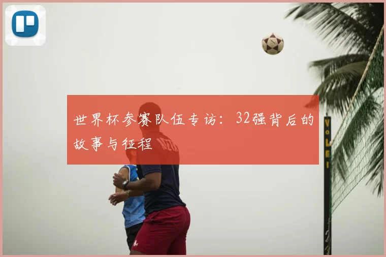 世界杯参赛队伍专访：32强背后的故事与征程