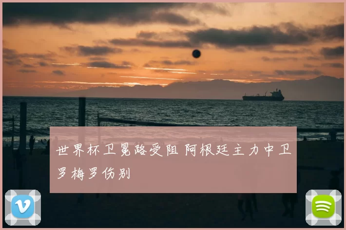 世界杯卫冕路受阻 阿根廷主力中卫罗梅罗伤别