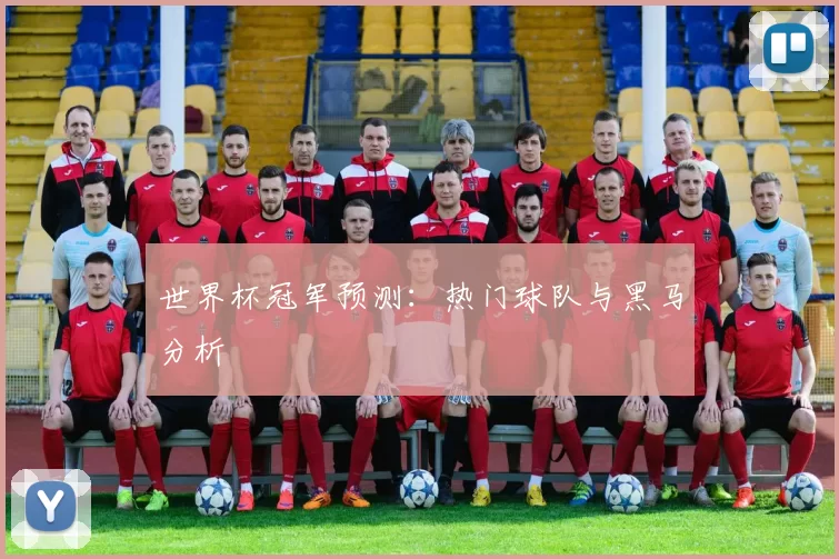 世界杯冠军预测:热门球队与黑马分析